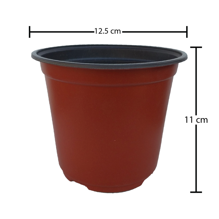PLASTIC POT SET OF 12 (12.5X11CM)