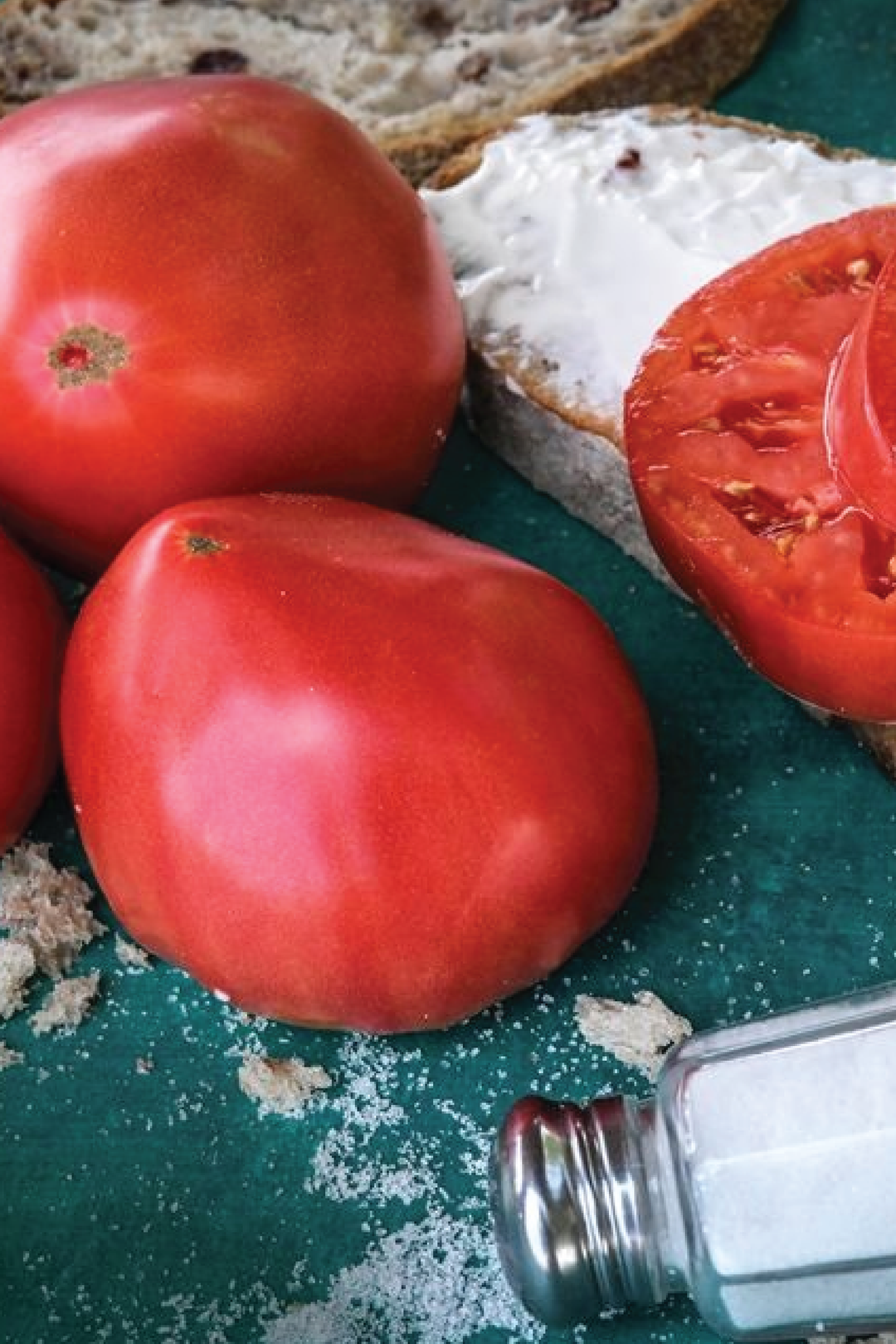 ORGANIC BREAD & SALT TOMATO SEEDLING <br> شتلات الطماطم بريد آند سولت العضوية