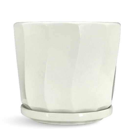 White Ceramic Pot - White Planters - Shop Plants Pots In UAE