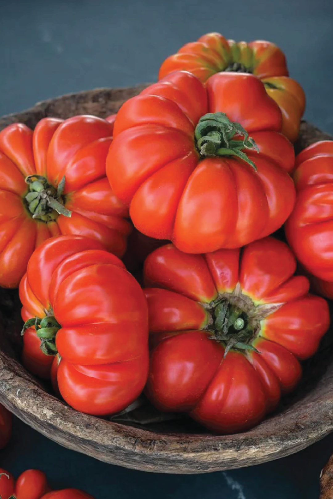 TOMATO BURMESE SOUR SEEDS <br> بذور طماطم بورميه ساور
