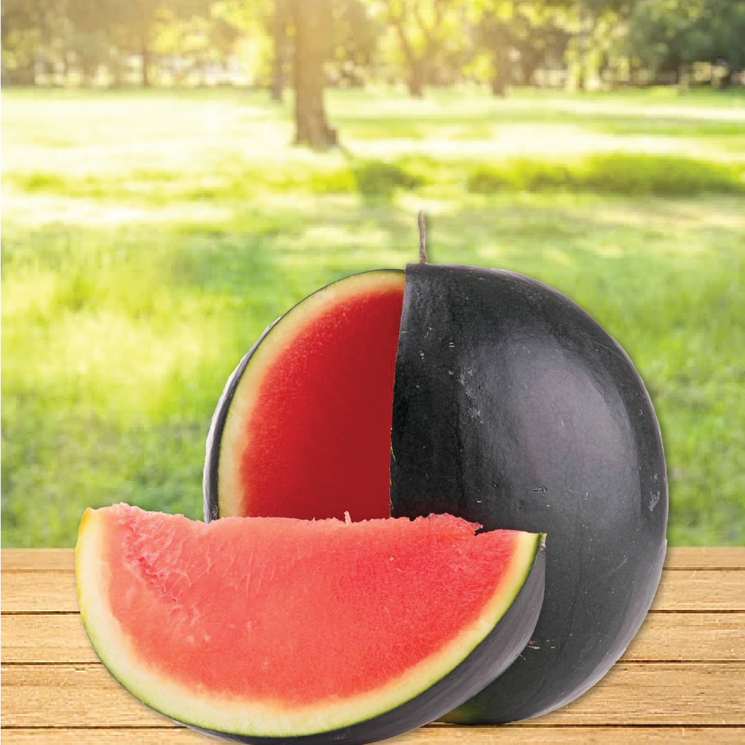 BLACK WATERMELON SEEDS <br> بذور البطيخ الأسود