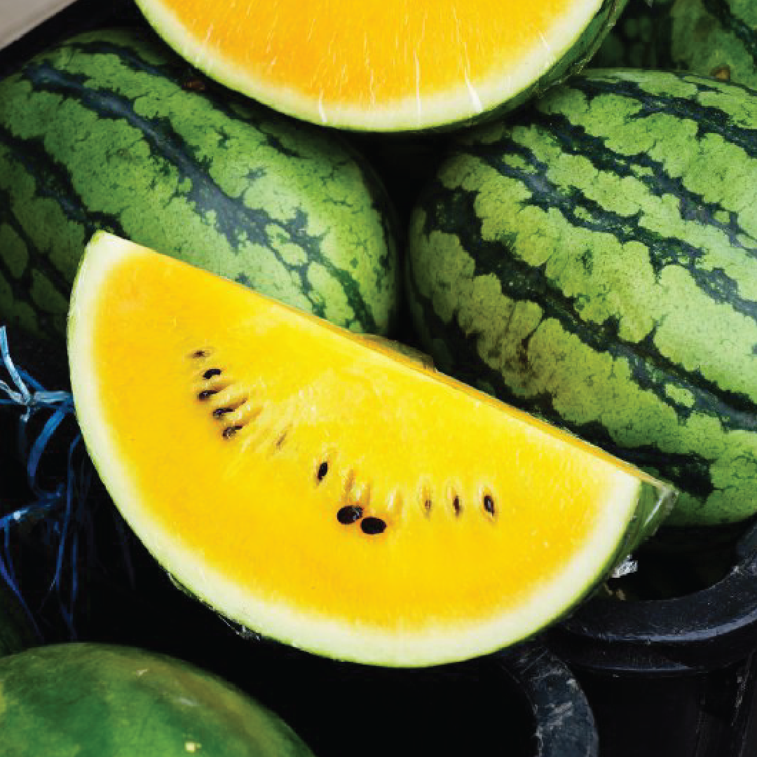 YELLOW WATERMELON SEEDS <br> بذور البطيخ الأصفر