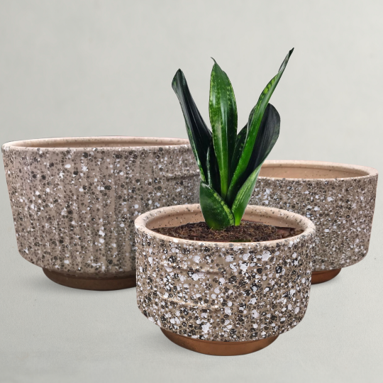 Decorative Flower Pot & Planter