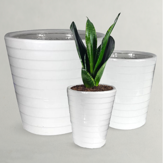 WHITE PLANT POT