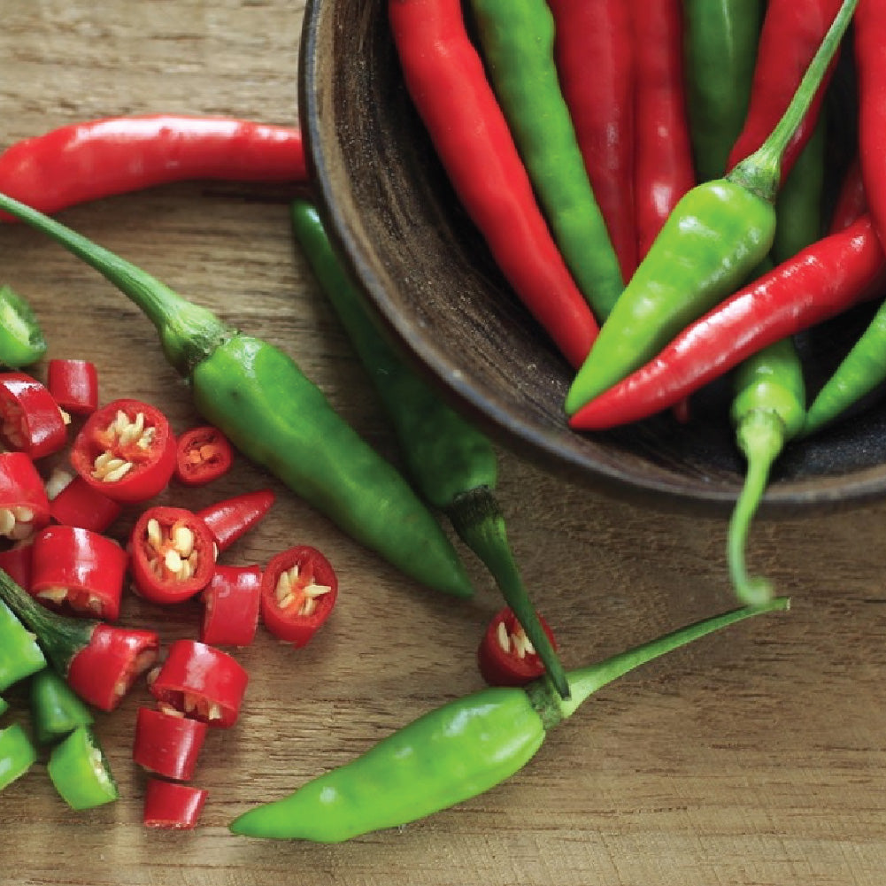 2 ORGANIC MIXED PEPPER SEEDLING<br> ٢ شتلات الفلفل المتنوع العضوية