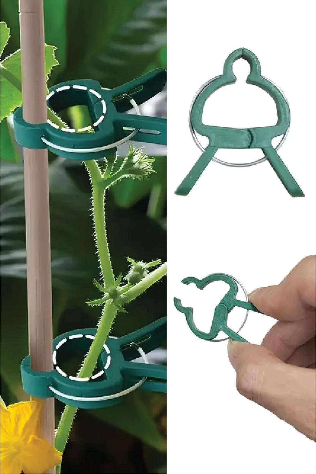 PLASTIC CLIPS FOR PLANTS - SET OF 20