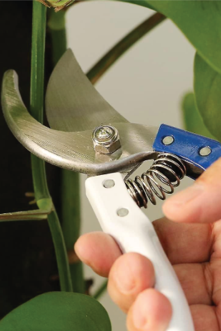 PRUNING SHEAR
