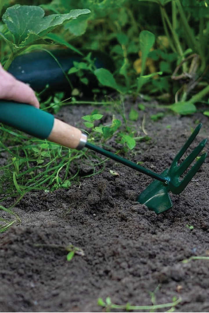 2 IN 1 MINI GARDEN FORK AND SPOON TOOL