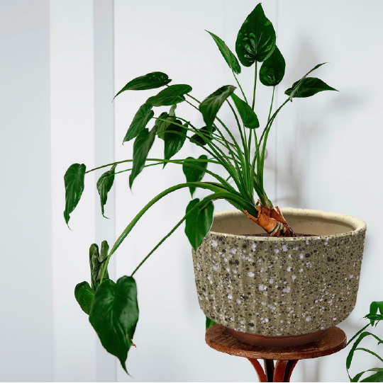 3PCS SET CERAMIC PLANT POTS - CERAMIC POTS AND PLANTERS