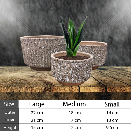 Decorative Flower Pot & Planter
