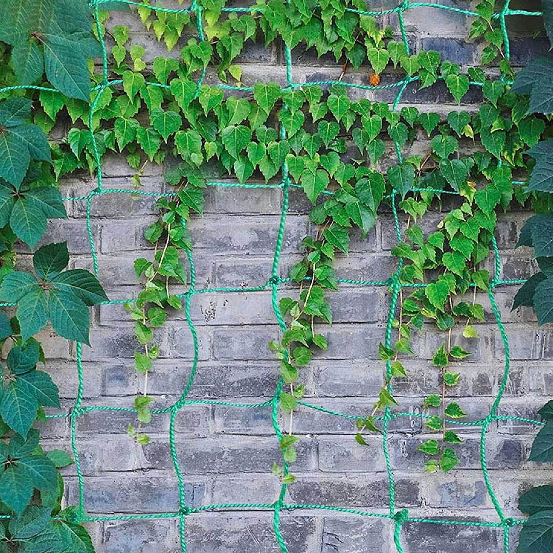 Garden Netting For Climbing Plants