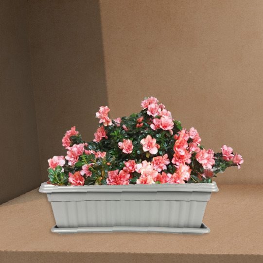 Grey Plastic Garden Planter