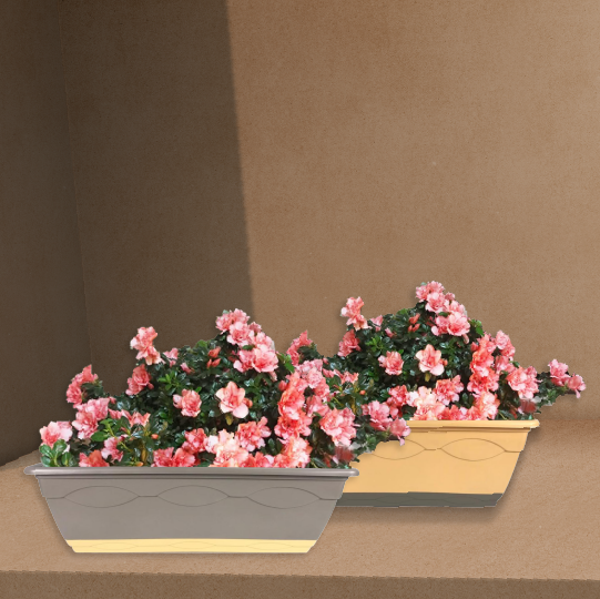 Nursery Pots Buy in Dubai UAE