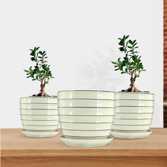 Outdoor Plants Pots