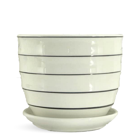 Indoor Outdoor Plants Pots