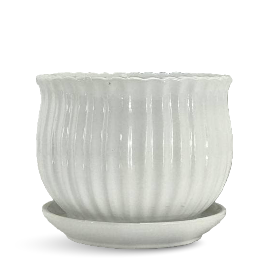 Large Garden Planters