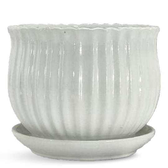 Large Indoor Planters - Large Garden Pots For Home Decor