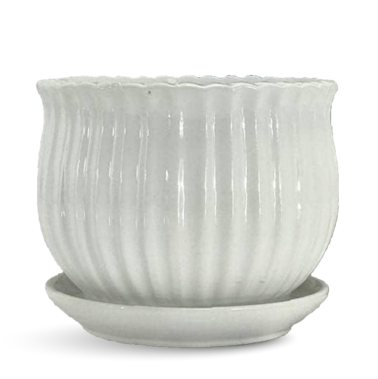 Large Indoor Planters / Pots