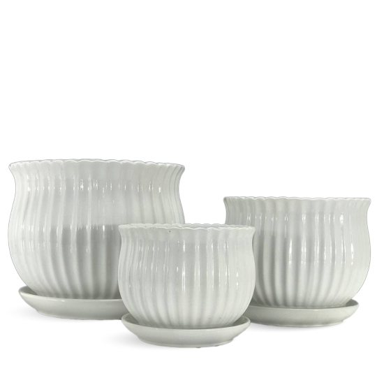 Large Garden Pots For Home Decor