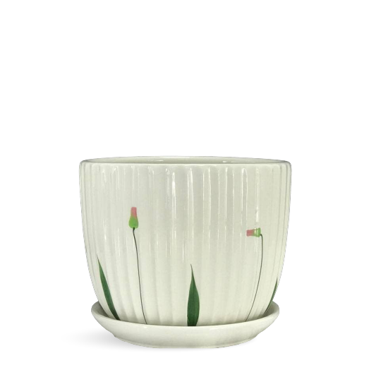 Buy Flower Pots Online - Plant Pots Online