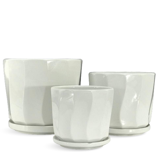 White Ceramic Plant Pot