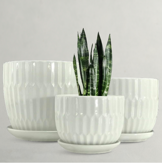 LATEST PLANTERS - NEW LOOK PLANTERS