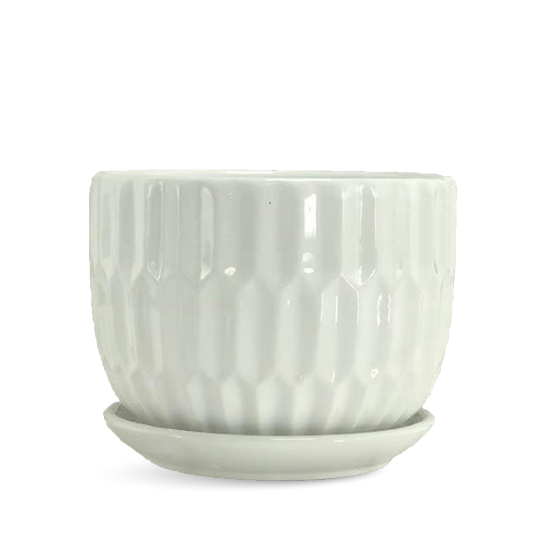 NEW LOOK PLANTERS / POTS