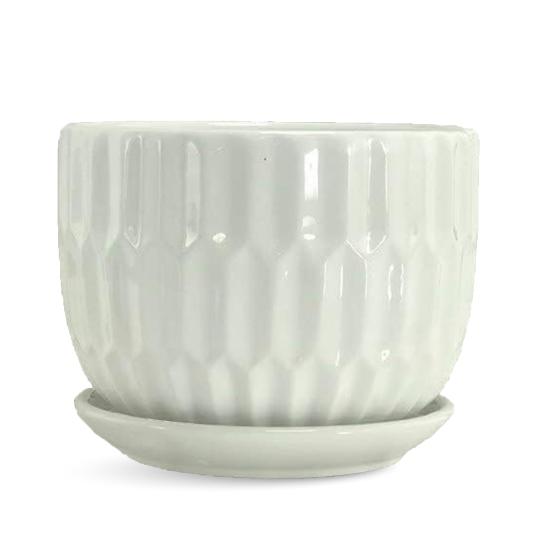 LATEST PLANTERS / POTS