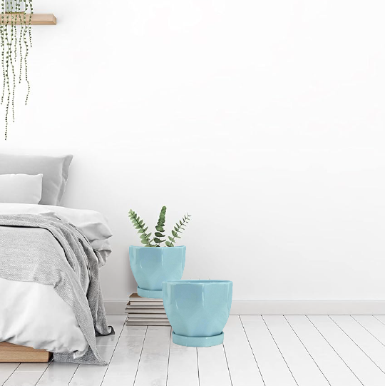 Blue Planters - Blue Plant Pot