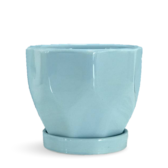 Blue Planters, Blue Plant Pot