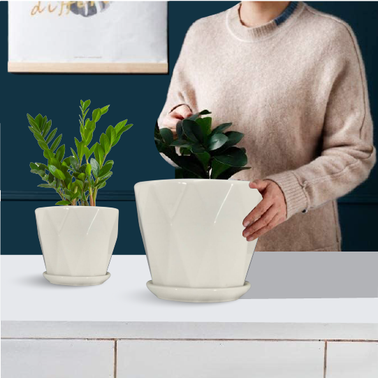 Plant Pots and Planters