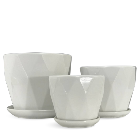 White Plants Pots - Plant Pots and Planters