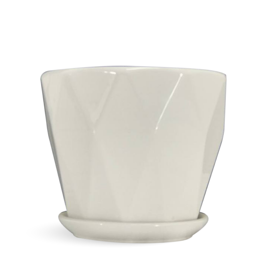 White Plants Pots - Plant Pots and Planters