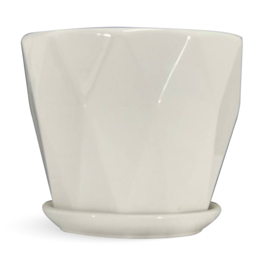 New White Plants Pots