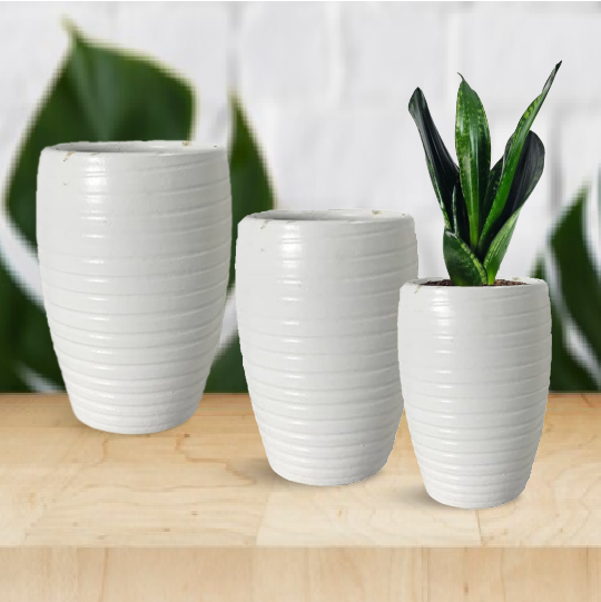 Clay Pots For Plants