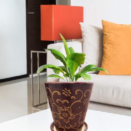 Designer Planters And Pots