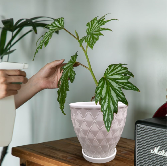 White Plant Pots Set of 3
