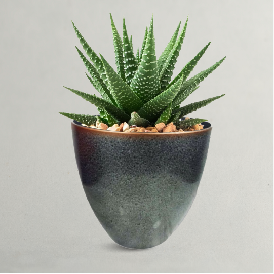 Fiber Plant Pots - Grey Plant Pots - Grey Fiber Circle Pot