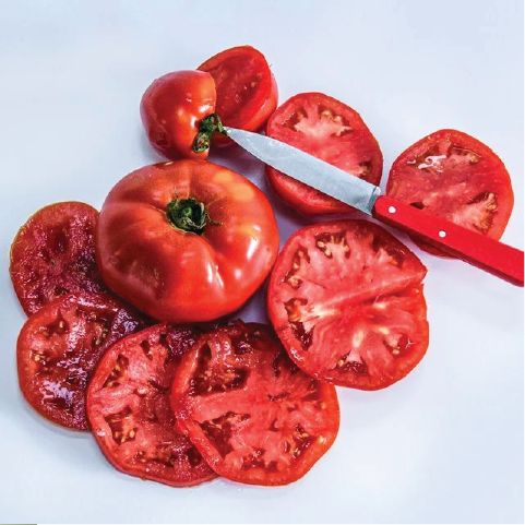 TOMATO WOOD'S FAMOUS BRIMMER SEEDLING <br> شتلة طماطم وود فيمس بريمير