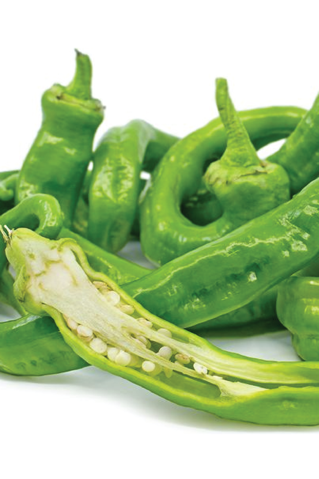 ORGANIC ITALIAN LONG PEPPER SEEDLING<br>شتلات الفلفل الايطالي الطويل العضوية