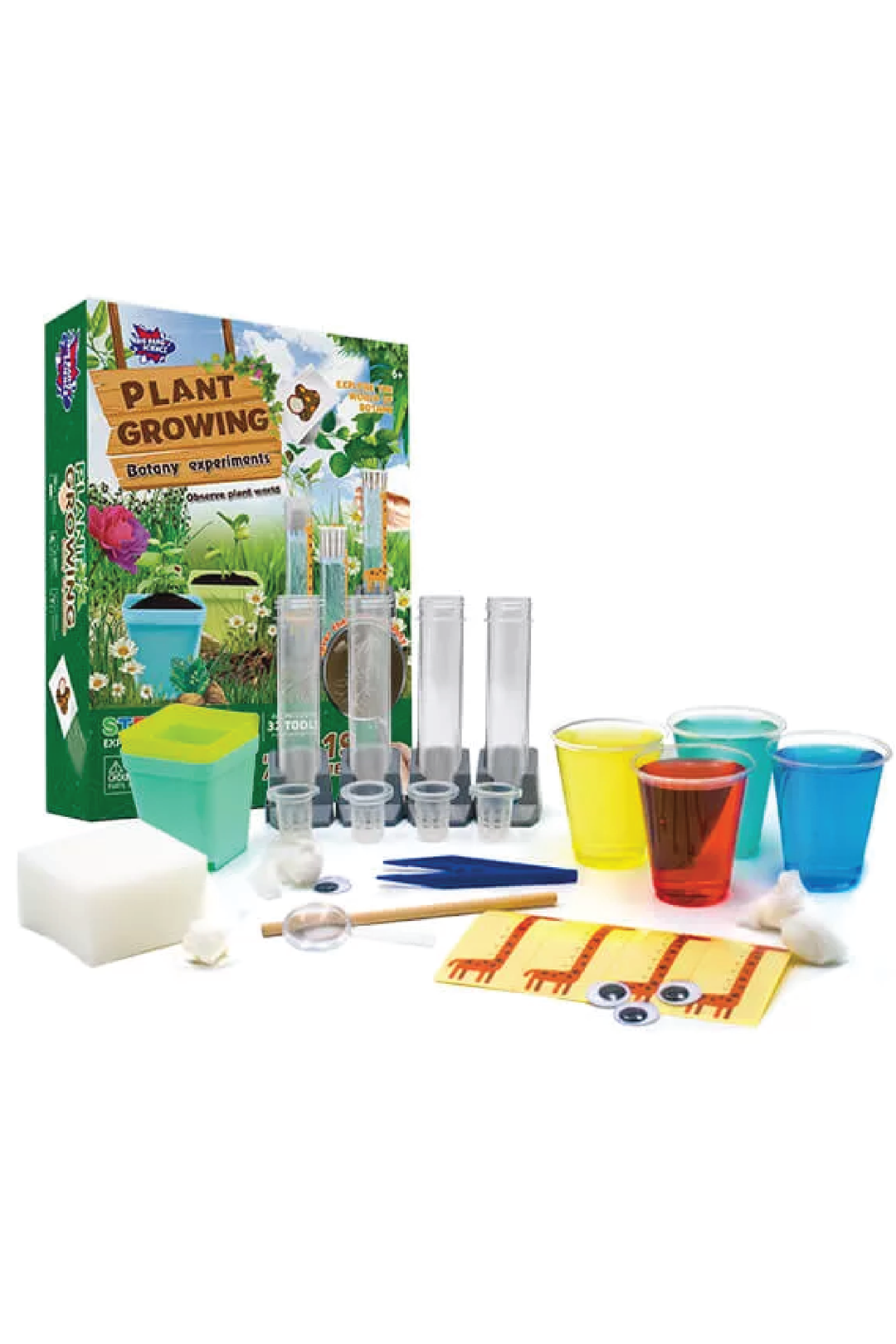 PLANT GROWING BOTANY EXPERIMENTS