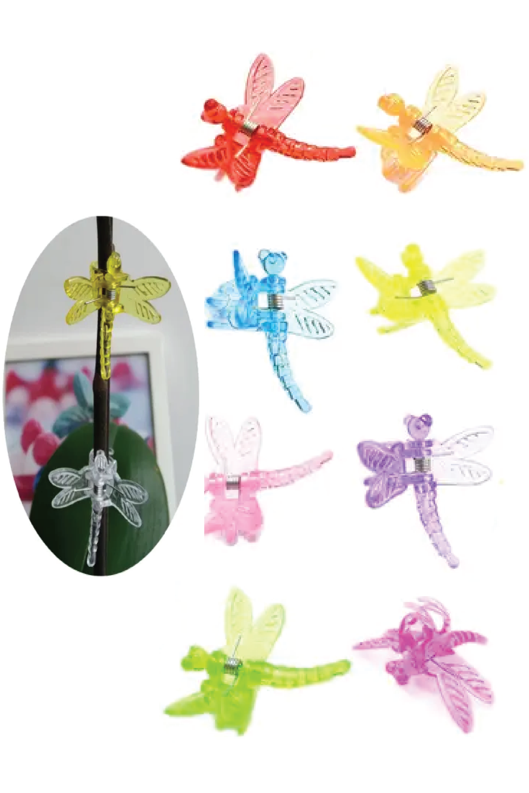 DRAGONFLY CLIPS