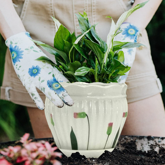 White Ceramic Plant Pot
