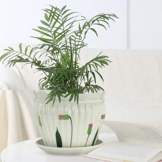 White Ceramic Plant Pot