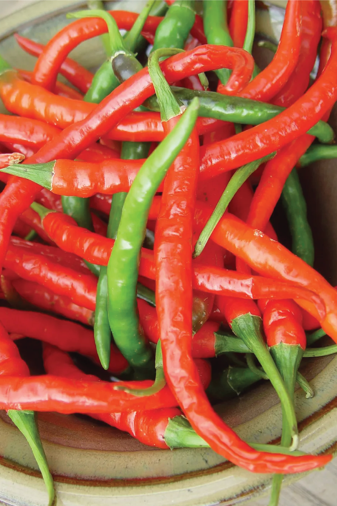 CAYENNE LONG SLIM PEPPER SEEDS <br> بذور فلفل الكايين
