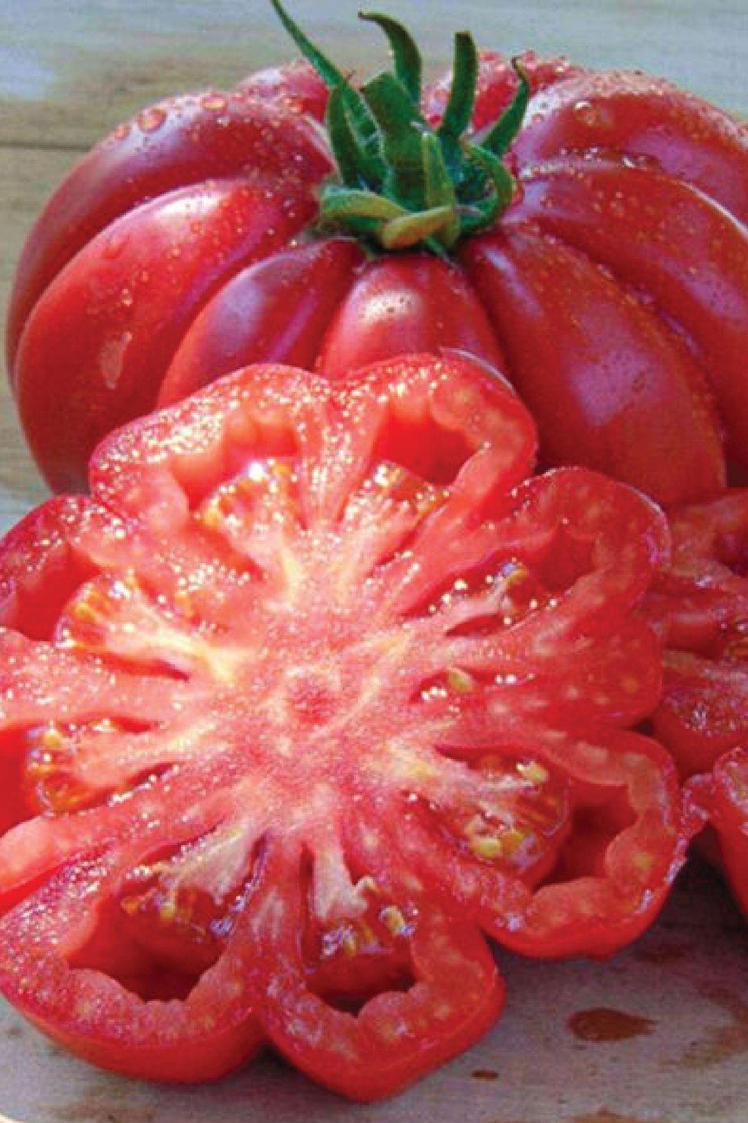 ORGANIC MUSHROOM BASKET TOMATO SEEDLING <br>شتلات الطماطم العضوية مشروم باسكت