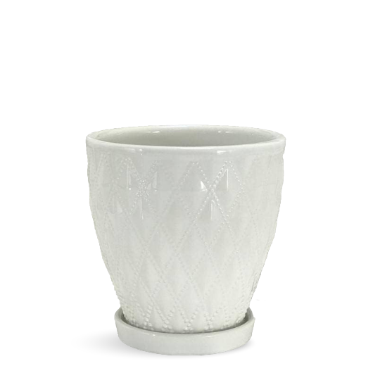 White Ceramic Indoor Planter - White Ceramic Pot