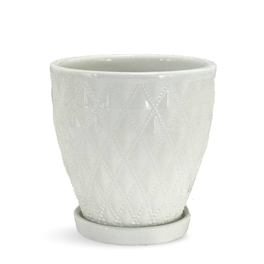 White Ceramic Plant Pot