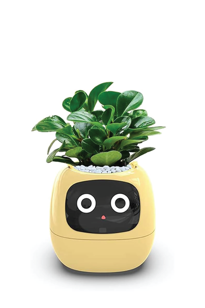 SMART PET PLANTER ROBOT