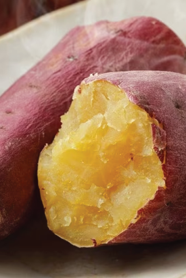 ORGANIC SWEET POTATO SEEDLING<br> شتلة البطاطا الحلوة العضوية